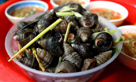 Những sai lầm chết người khi ăn ốc mà nhiều người mắc phải