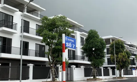 Dự án The Eden Rose: Nhiều dấu hiệu sai phạm gây khó dễ cho chính quyền?