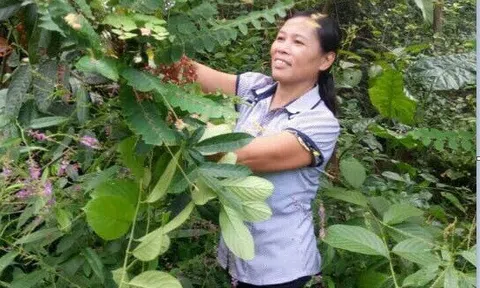 Cách chữa đau nhức xương khớp tại nhà của hàng ngàn người