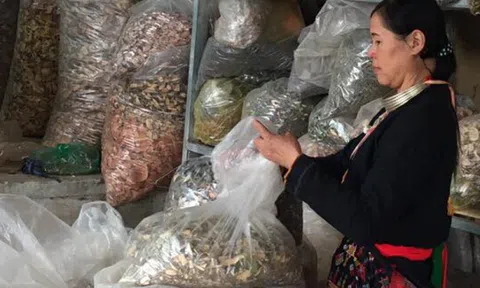 Bất ngờ bệnh nhân khỏi đau nhức xương khớp, đau thần kinh tọa nhờ lương y Hòa