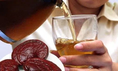Đừng uống linh chi theo cách này để tránh gây hại cho sức khỏe