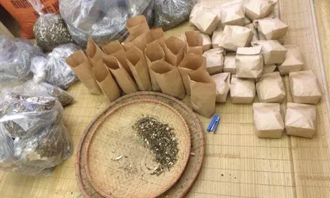 Sở hữu bài thuốc quý chữa thành công cho hàng ngàn ca vô sinh hiếm muộn trên khắp cả nước