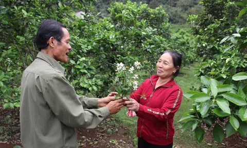 Món quà bất ngờ tặng người phụ nữ nghị lực nuôi 4 con chờ chồng ra tù