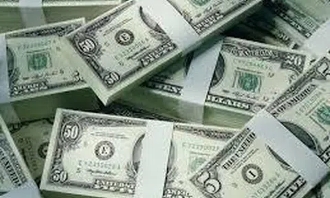 Vén màn sự thật kho báu 'ma' 13 tỷ đồng chôn dưới chậu nhựa ở sân nhà