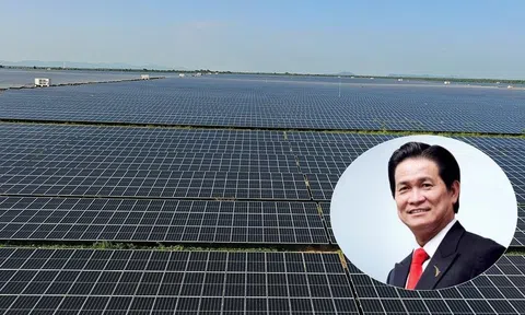 Tham vọng “kiếm lời từ ánh dương” , Thành Thành Công đã làm được gì?