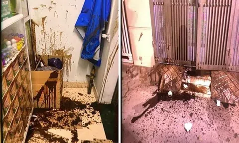 Hà Nội: Truy xét nhóm côn đồ quật ngã bà bầu, đập phá rồi ném chất thải vào cửa hàng thuốc