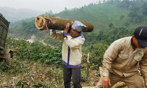 Phận đời nữ “phu keo”!