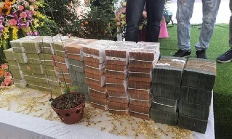 Tổng cục Thuế ra văn bản khẩn về thu thuế giao dịch lan đột biến