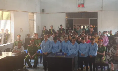 Nhóm người đóng giả cô dâu, chú rể thực hiện hàng trăm vụ lừa đảo nhận mức án hơn 120 năm tù