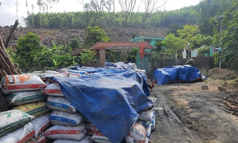 Than "thổ phỉ" Quảng Nam - Kỳ 1: Tận diệt... than