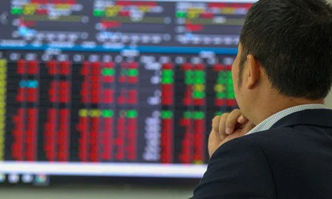 Báo cáo không đúng hạn, Chủ tịch kiêm Tổng giám đốc Công ty Đầu tư IDJ Việt Nam bị xử phạt
