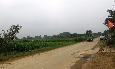 Chủ tịch xã lý giải 46 lô đất quê khởi điểm 250 triệu, đấu lên 1,4 tỷ đồng