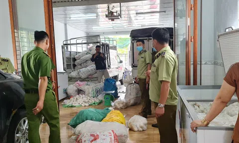 An Giang: Tạm giữ hơn 3 tấn chả tại cơ sở kinh doanh không giấy chứng nhận đủ điều kiện an toàn thực phẩm