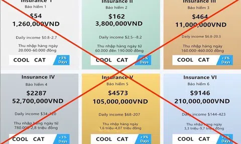 Công an TP.HCM tiếp nhận hàng trăm đơn tố cáo ứng dụng Coolcat lừa đảo