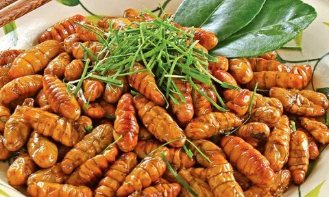 4 điều tối kỵ khi ăn nhộng tằm để không bị ngộ độc