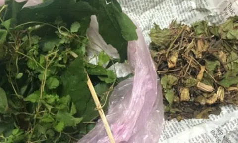 Chữa tiêu chảy bằng thuốc nam, bác sĩ bất lực để gia đình xin con về