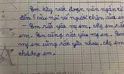 Đoạn văn của học sinh lớp 2 khiến ai nấy cười ngất vì "5 câu mà như 1"