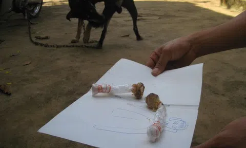 Bé gái 5 tuổi tử vong nghi ăn phải bả chó hình kẹo mút