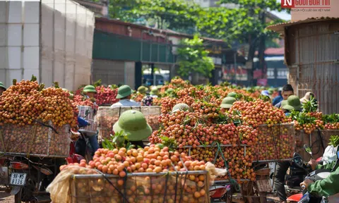 Bộ Công thương cam kết hỗ trợ Bắc Giang tiêu thụ vải thiều