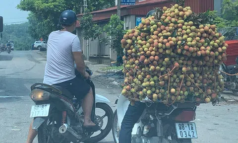 Đăng tin vải thiều bị ép giá 2.000 đồng/kg, thanh niên Bắc Giang bị xử phạt