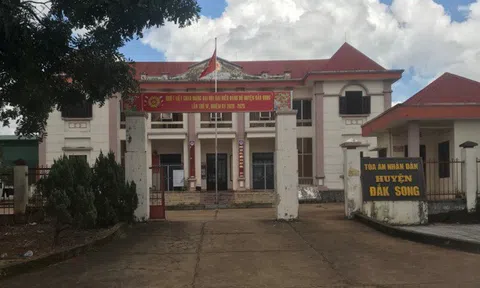 Đắk Nông: Tòa án huyện lập gần 60 vụ án "ảo" để ... hoàn thành chỉ tiêu
