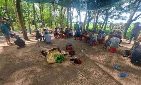 Hàng trăm người tụ tập đá gà bất chấp lệnh giãn cách phòng dịch Covid-19