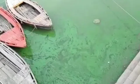 Sông Hằng chuyển màu xanh lục, bốc mùi hôi gây ám ảnh