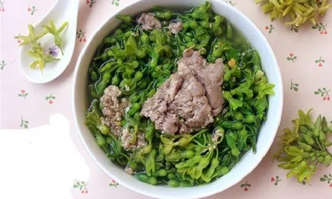 Gợi ý 4 cách chế biến món ăn với hoa thiên lý thơm ngon bổ dưỡng