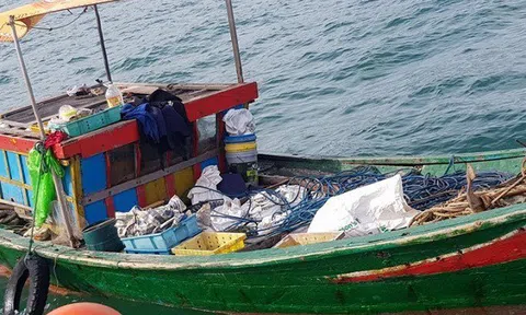 Đi mò cua bắt ốc, 3 ngư dân bất ngờ phát hiện "kho báu" dưới đáy biển