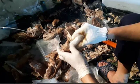 Phát hiện 270 kg ma túy giấu trong dạ dày lợn, thùng mì tôm ... vận chuyển từ Campuchia về Việt Nam