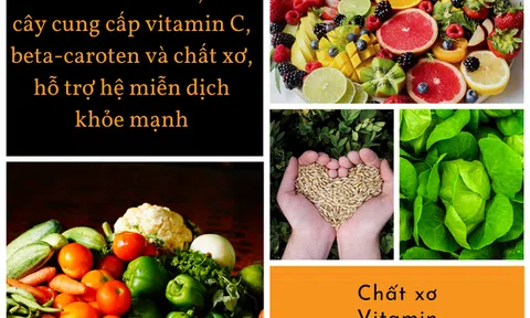 Thực phẩm mẹ bầu nên sử dụng