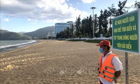 Bình Định cấm tắm biển, tạm dừng vận chuyển hành khách đi Bình Dương, Khánh Hòa, Phú Yên, Đà Nẵng