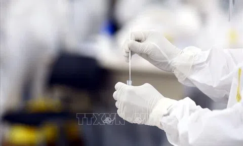 Truy vết các trường hợp liên quan 5 ca mắc COVID-19 ở Bình Thuận