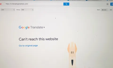 Sàn ngoại tệ cam kết 'thắng không thua' đã sập, hàng ngàn người điêu đứng