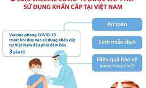 [Infographics] 5 loại vaccine COVID-19 được cấp phép sử dụng khẩn cấp