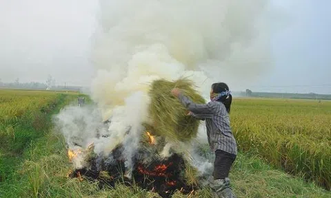 Hà Nội yêu cầu các quận huyện mạnh tay xử lý tình trạng đốt rơm rạ không đúng quy định