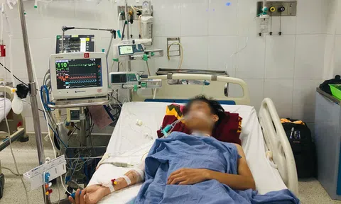 Nam thanh niên nhập viện cấp cứu sau khi ăn 'đặc sản' ve sầu