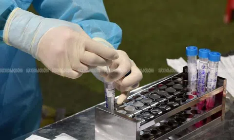 2 trường hơp F1 ở Nghệ An dương tính SARS-CoV-2