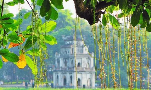 Dự báo thời tiết 6/7: Hà Nội ngày nắng, đêm có mưa rào vài nơi