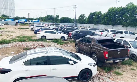 Khởi tố vụ án và 4 bị can trong đường dây tiêu thụ gần 100 ô tô trộm cắp ở Hà Nội