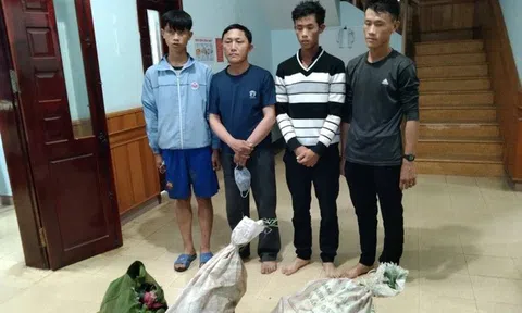 Bắt nhóm người bắn chết 2 con sơn dương quý hiếm trong vườn quốc gia