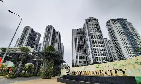 Chủ dự án Goldmark City vừa bị Thanh tra bộ Xây dựng khui nhiều sai phạm là ai?