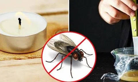 5 mẹo đuổi ruồi sạch bách ra khỏi nhà, không lo tốn kém