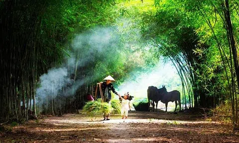 Dự báo thời tiết 14/7: Hà Nội ngày nắng, chiều tối và đêm mưa dông