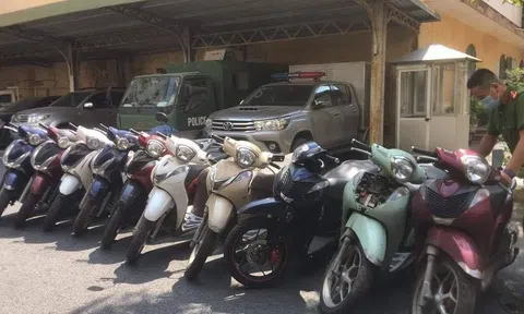 Chiêm ngưỡng "showroom" trưng bày SH ở vườn của "kỳ tài" trộm xe