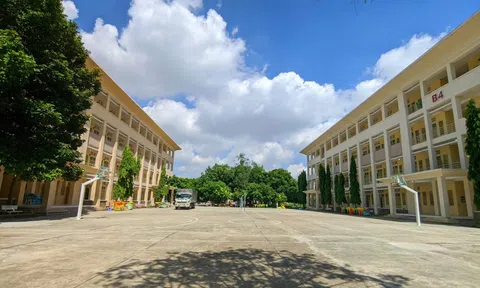 TP.HCM: Tin vui giữa lúc tình hình dịch bệnh đang căng thẳng