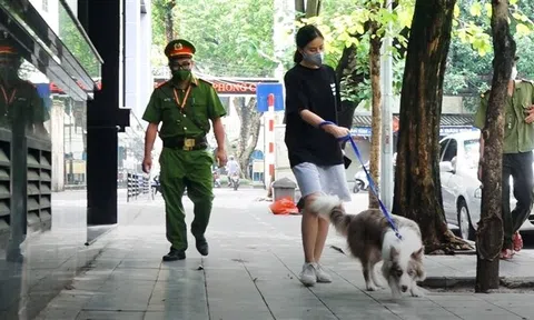Dắt chó đi dạo trong ngày Hà Nội giãn cách, cô gái trẻ bị phạt 2 triệu đồng