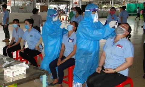 Bác thông tin Công ty ở Tiền Giang giấu ca bệnh làm 84 người nhiễm COVID-19
