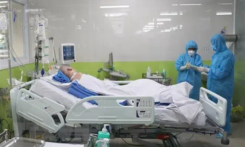 TP.HCM: Tập trung nhân lực điều trị dịch COVID-19 để giảm ca tử vong
