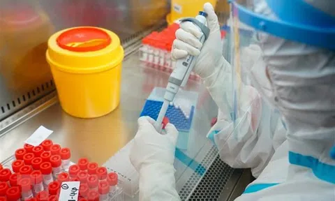 Nguy cơ xuất hiện những biến thể nguy hiểm mới của virus SARS-CoV-2